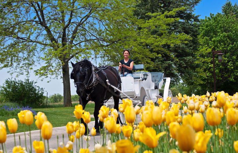 Horseback Riding at Grand Geneva Lake Geneva, Wisconsin